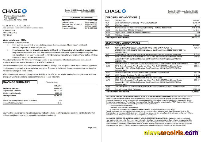 USA JP Morgan Chase bank statement in .xls and .pdf file format, 2 pages
